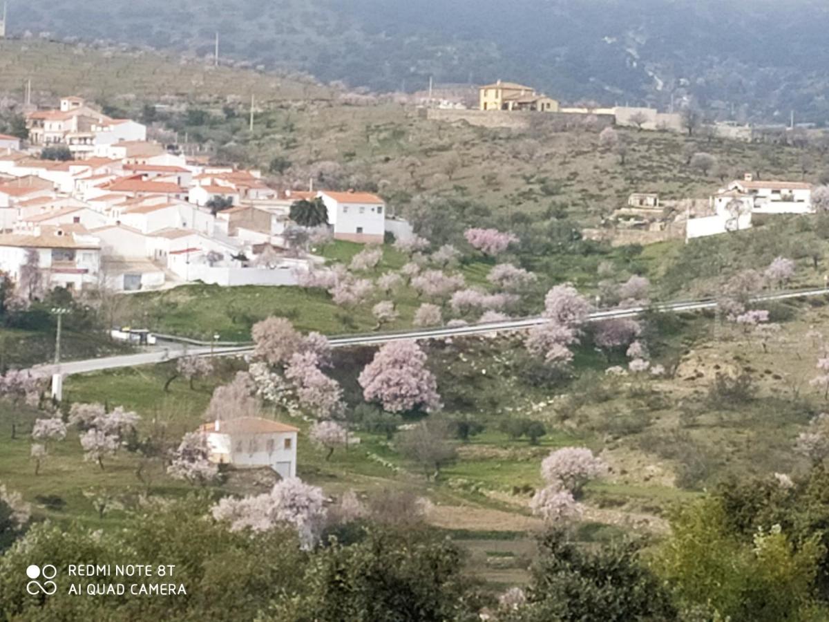 Casa La Colina Mandarina II Casa De Madera Βίλα Tahal Εξωτερικό φωτογραφία