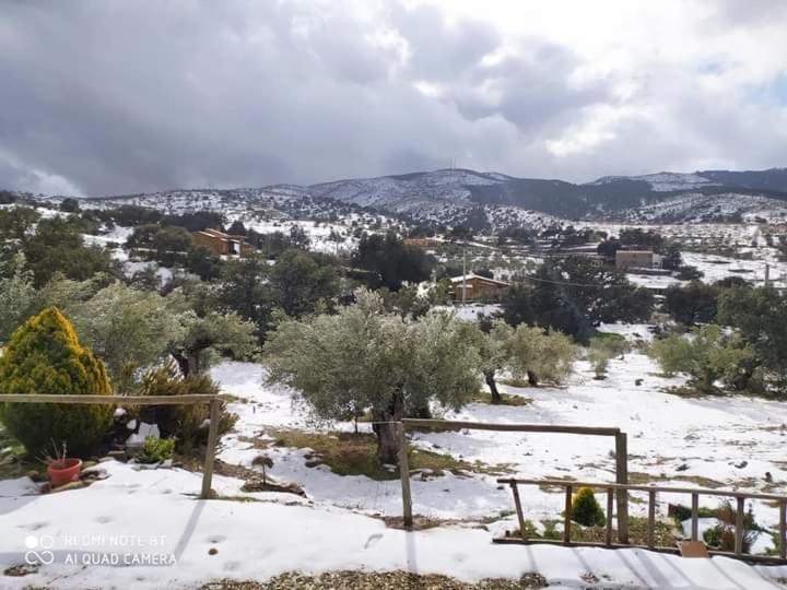 Casa La Colina Mandarina II Casa De Madera Βίλα Tahal Εξωτερικό φωτογραφία