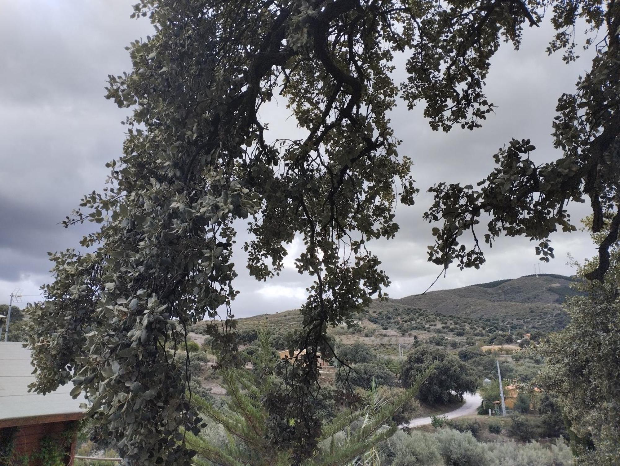 Casa La Colina Mandarina II Casa De Madera Βίλα Tahal Εξωτερικό φωτογραφία