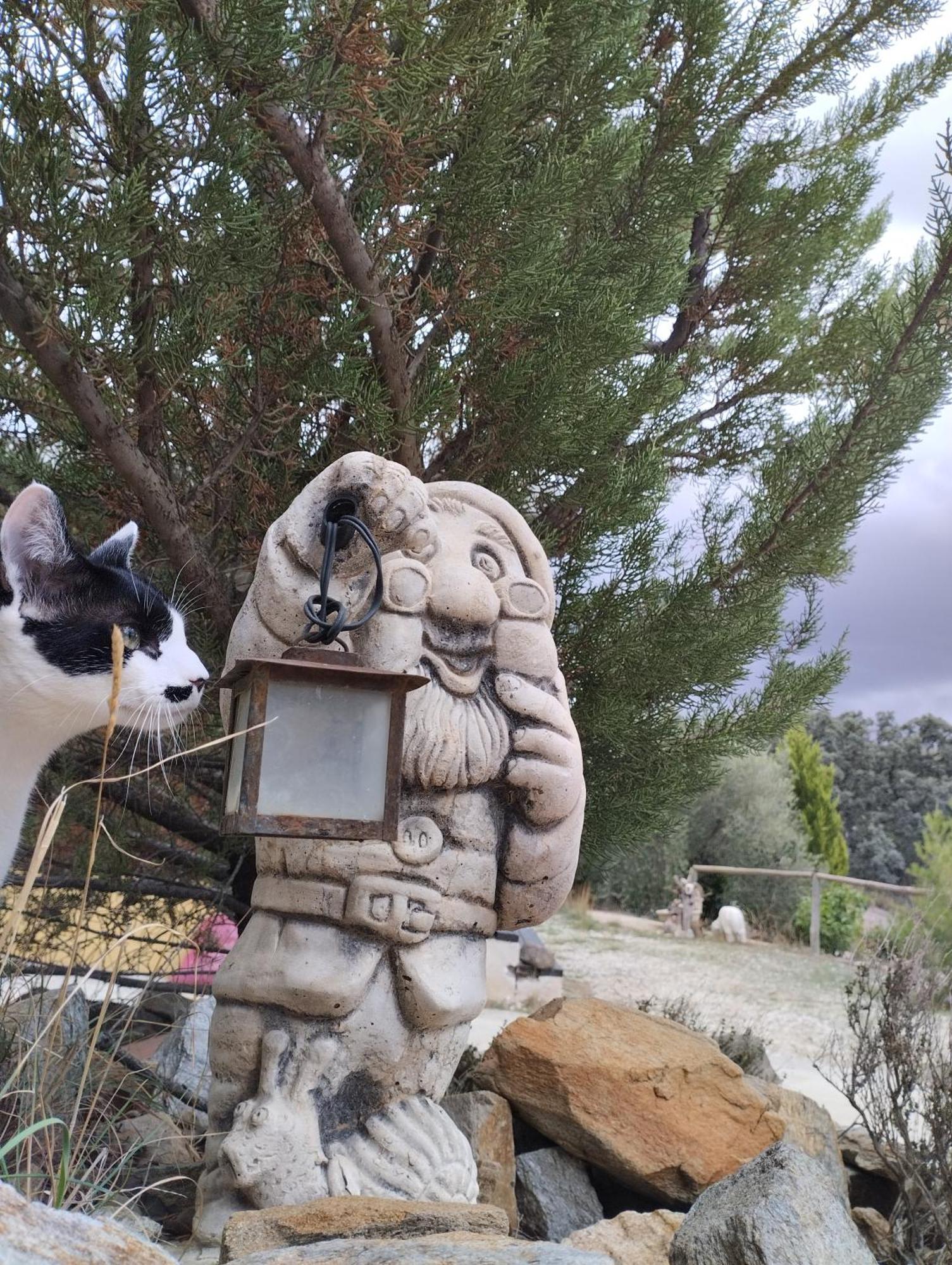 Casa La Colina Mandarina II Casa De Madera Βίλα Tahal Εξωτερικό φωτογραφία