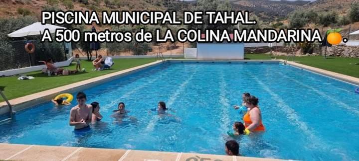 Casa La Colina Mandarina II Casa De Madera Βίλα Tahal Εξωτερικό φωτογραφία